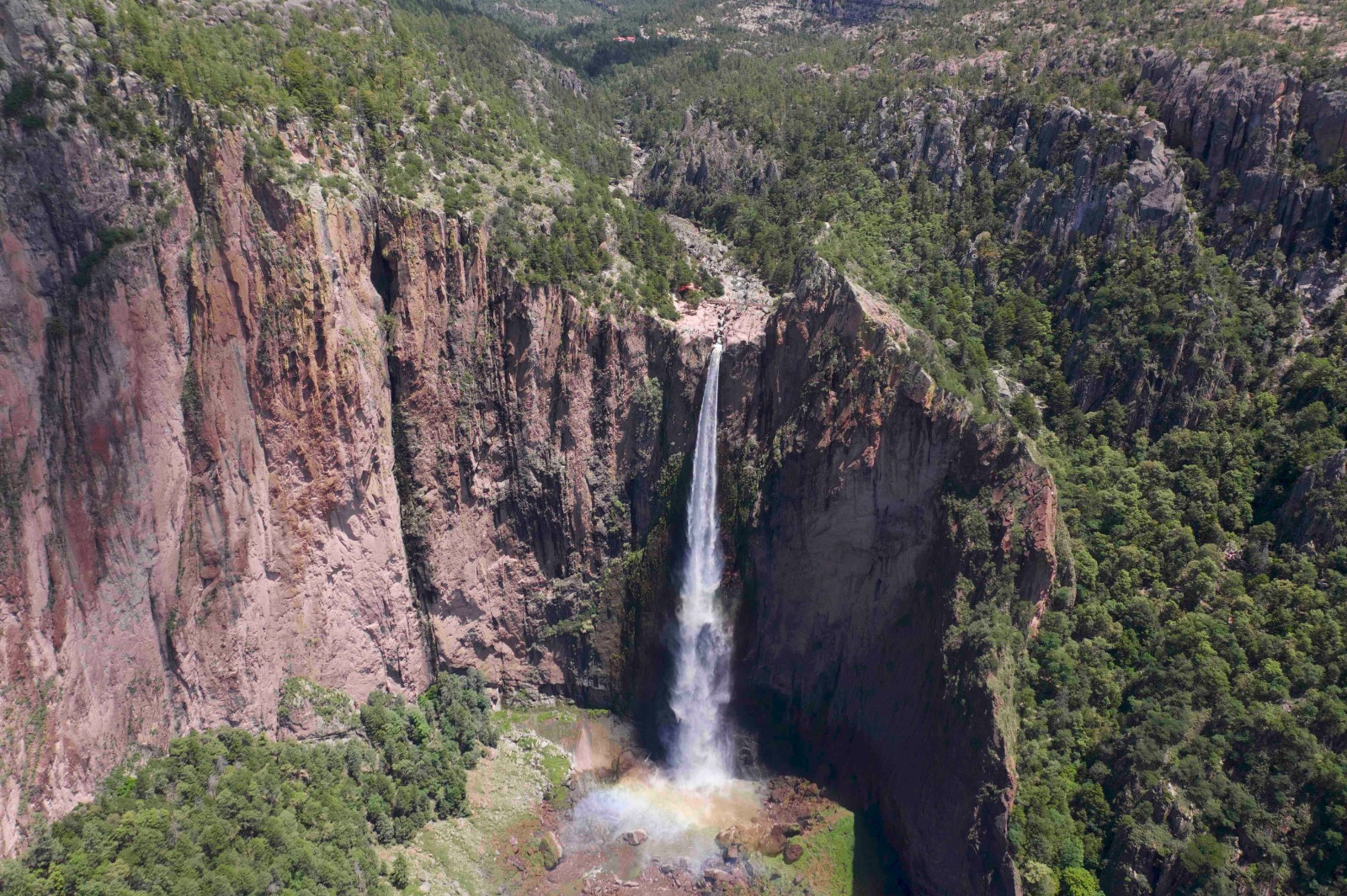 IMG-20250314-WA0005