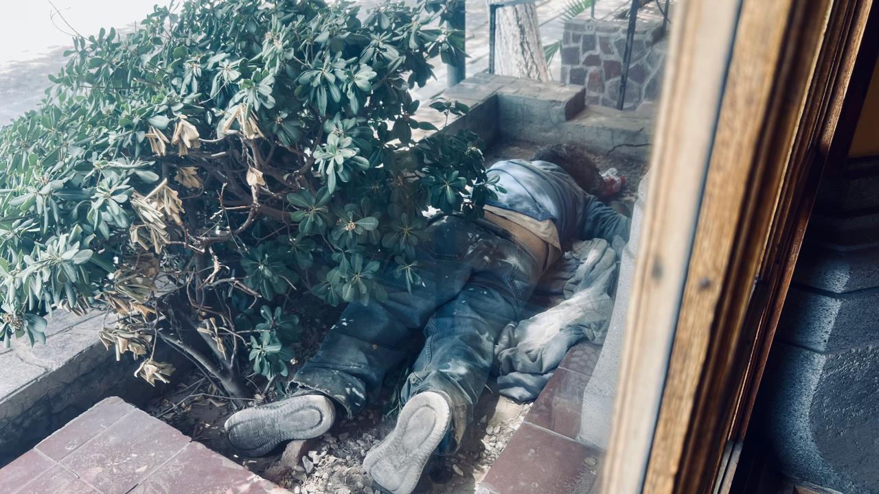 32efcb2c-62dd-45cf-b04c-d4bd629a4d3e