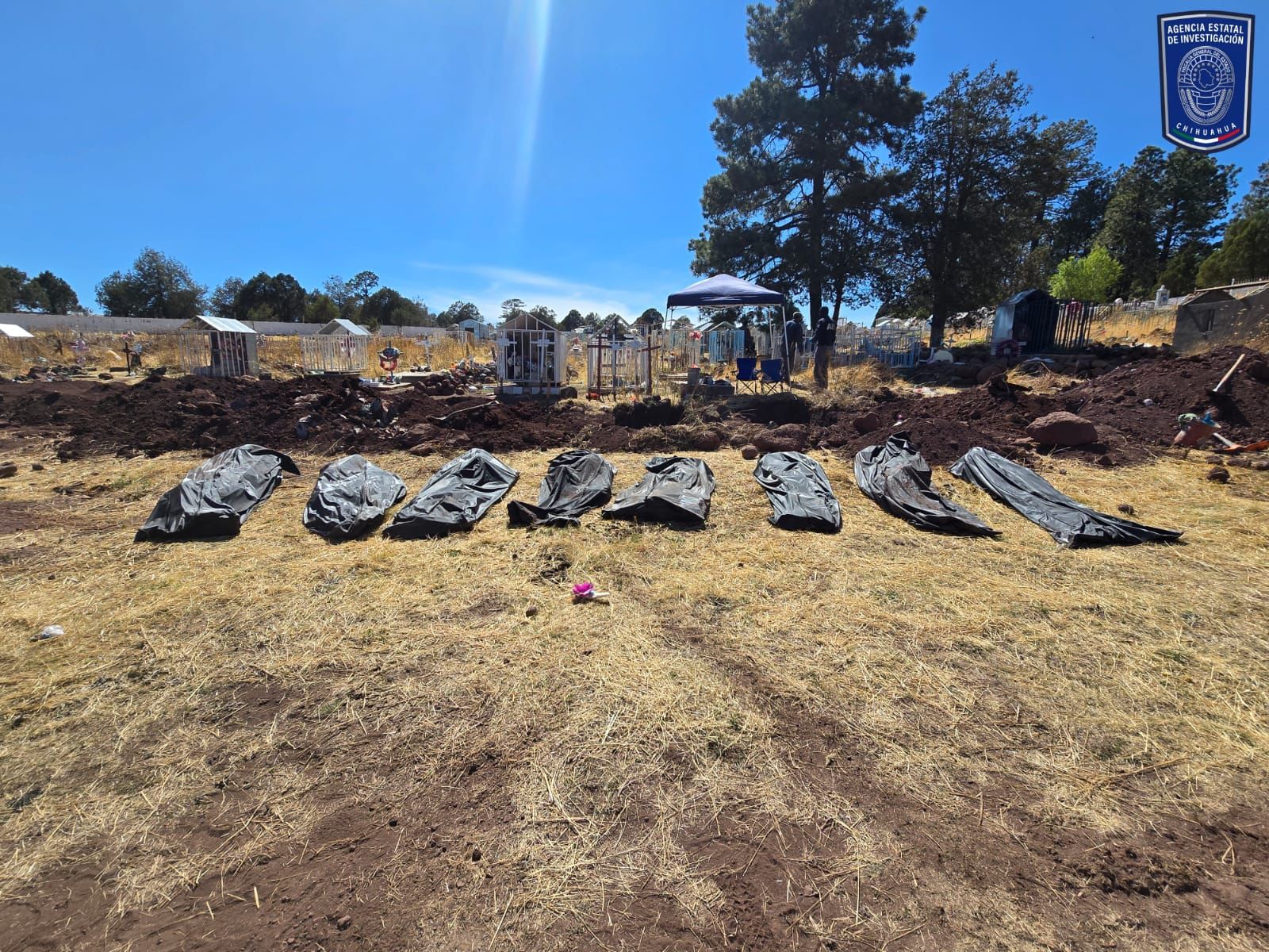 f80bac48-3807-4785-b899-a1291a19eca7