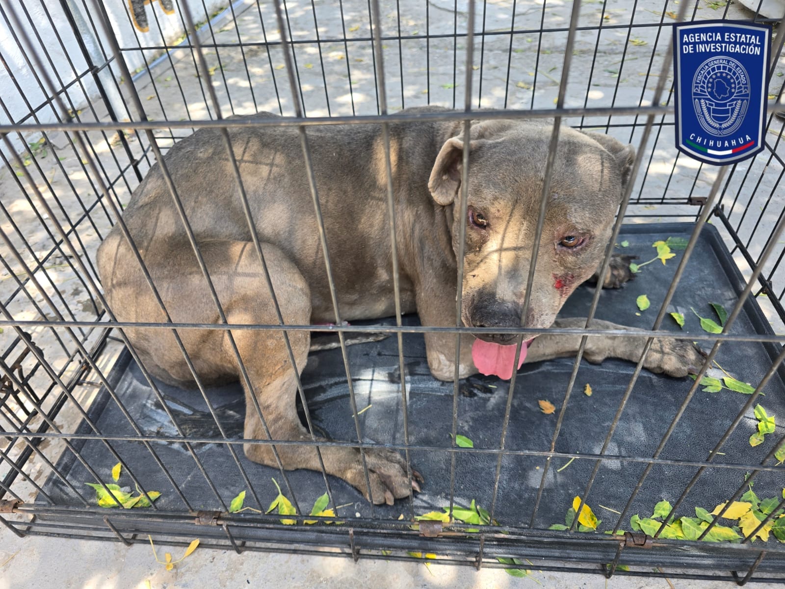 a403d179-376a-4b2f-ab58-835285d243de