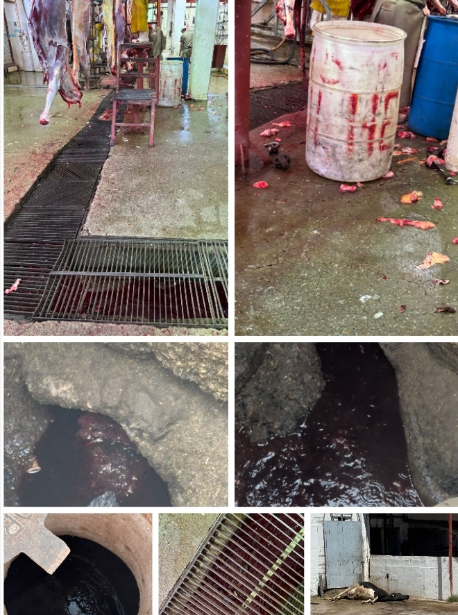 Screenshot_2025-07-16-14-09-20-927_photoeditor.layout.collagemaker-edit