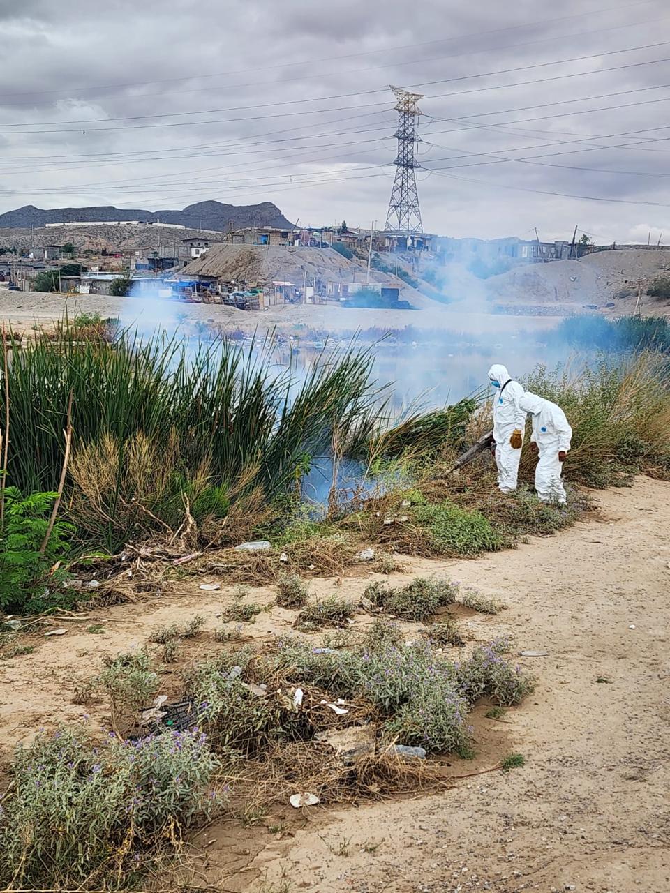 c4dd4924-db35-4dd8-a74e-5d260cb34237