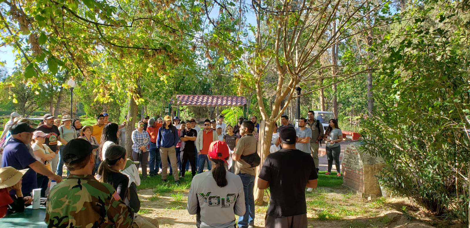 688fa3b9716d1__688fa3b9716d2