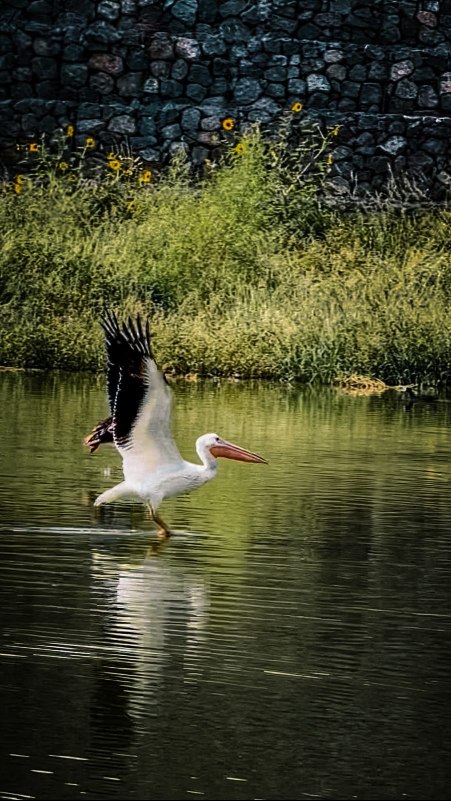 1bc7e666-f573-4e50-b238-3acbb9b76688