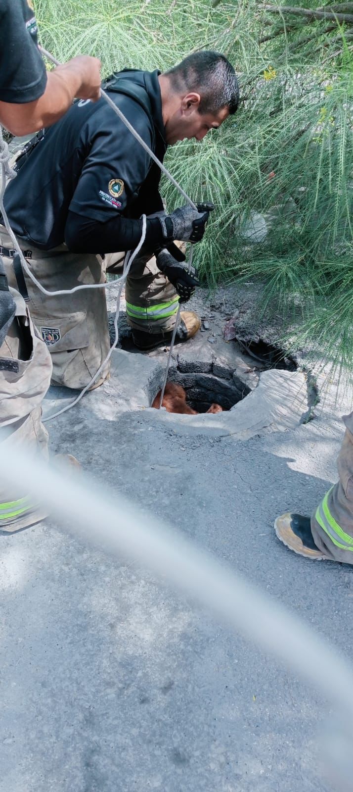 68d46af0875ad__68d46af0875ae