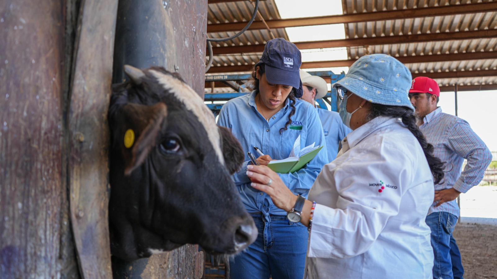 6bd81818-fe81-4236-9adc-7226eff744d0