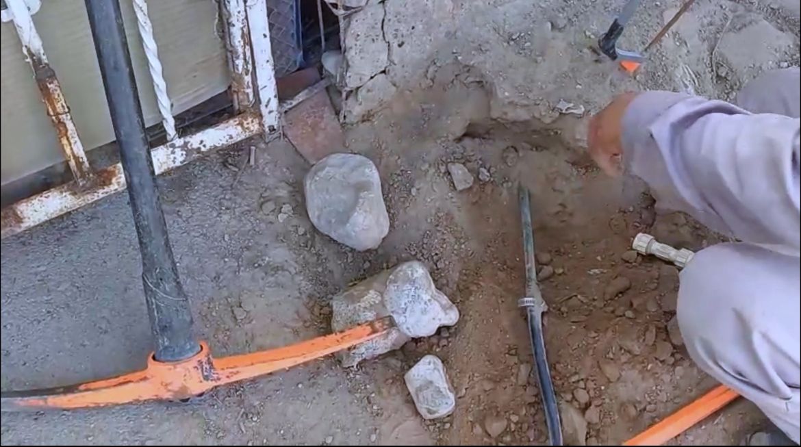 ba592ec4-4f8f-418a-baec-ef5e71a3b58a