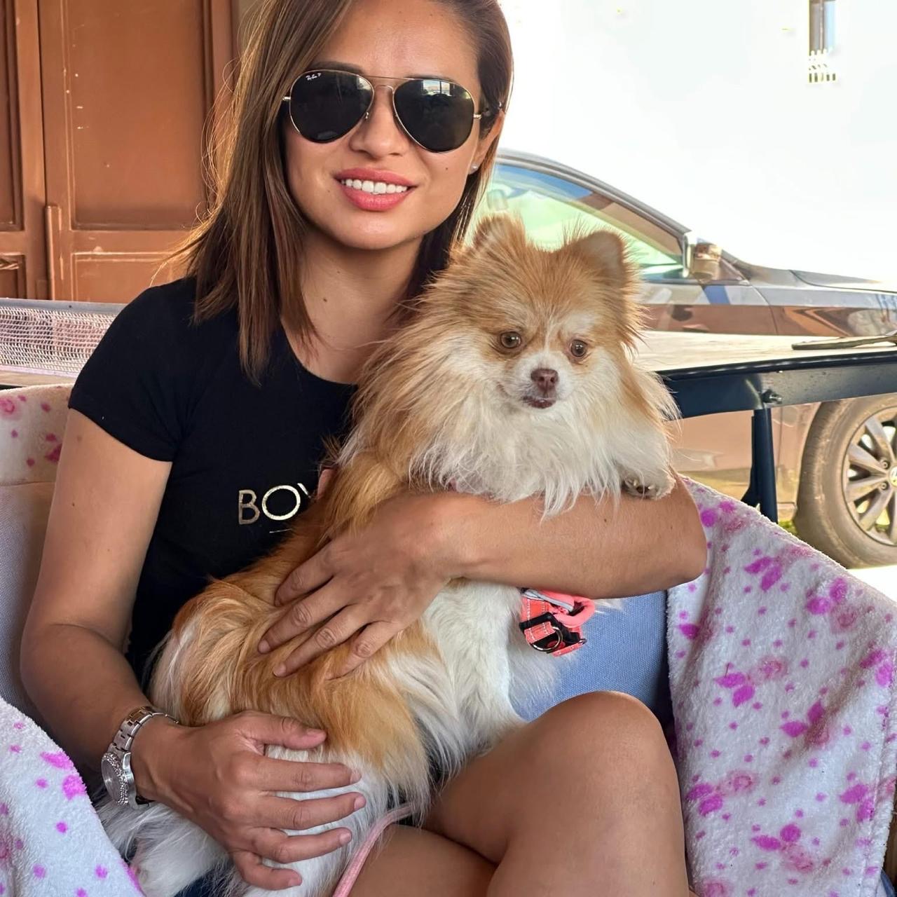 bda58df0-21d6-41ca-ba36-16cda617190d