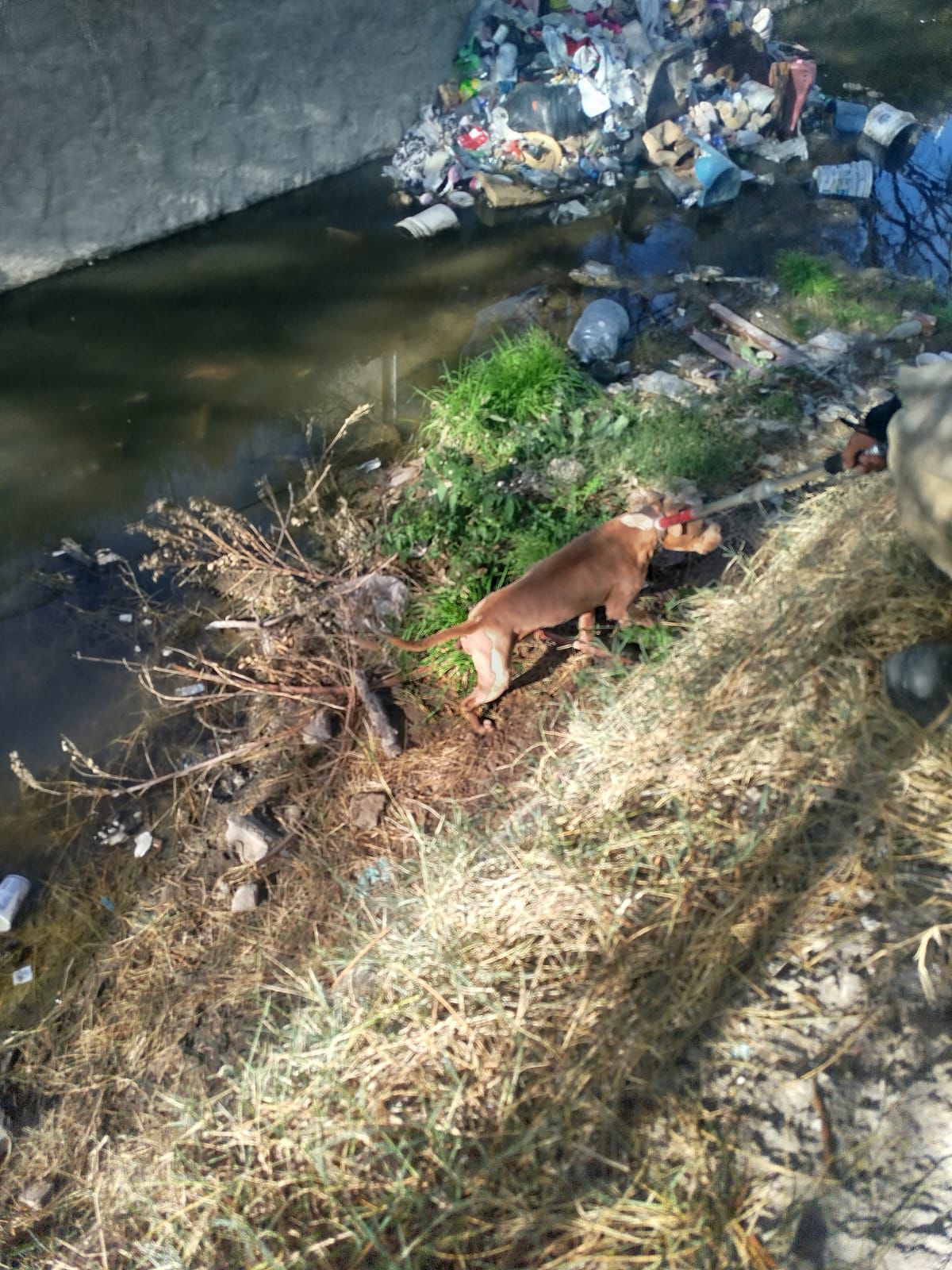 6930c8679038f__6930c86790390