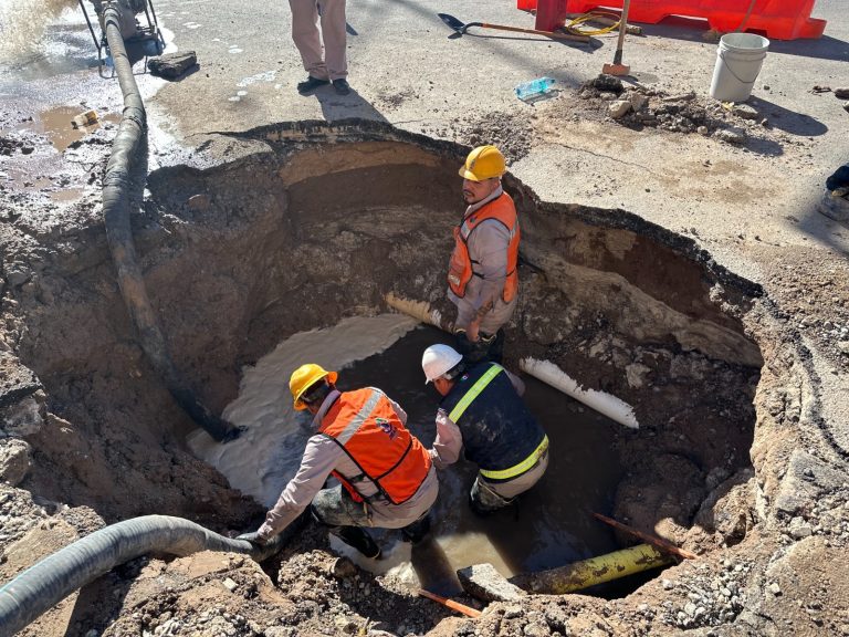 31b1da74-988e-4dd5-a3c7-57c95f2b4f32