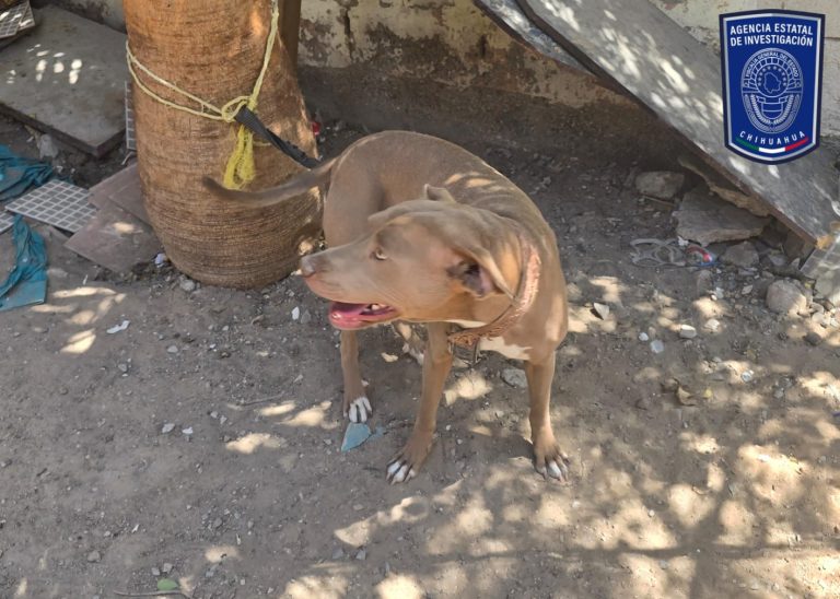 7ee9829e-e36e-43d6-92e1-38868f9bf95e