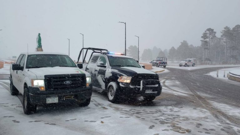 932e1141-1b83-43b6-8f12-9345c91e5753