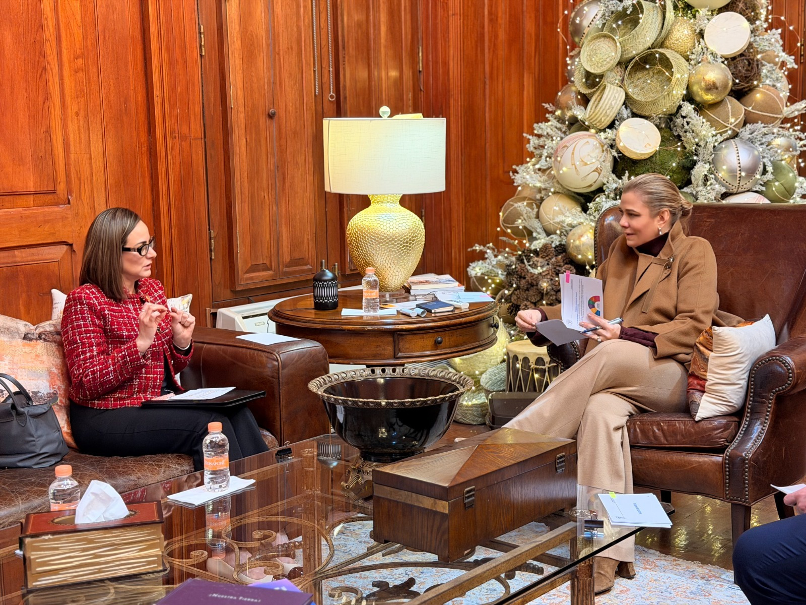 d3380322-aac3-4682-afac-8c21639abe82