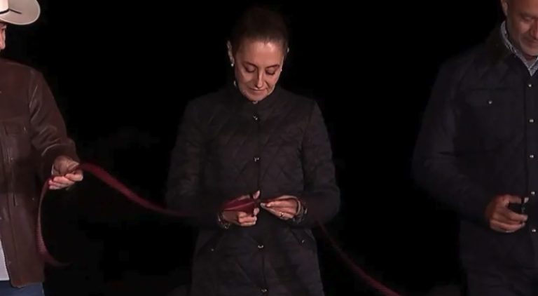 Captura de pantalla_1-2-2026_01651_www.excelsior.com.mx