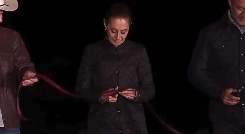 Captura de pantalla_1-2-2026_01651_www.excelsior.com.mx