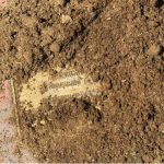 Screenshot_2026-02-12-15-43-55-367_com.android.chrome-edit