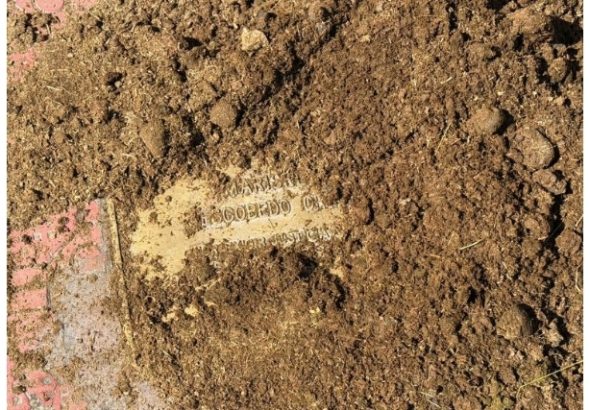 Screenshot_2026-02-12-15-43-55-367_com.android.chrome-edit