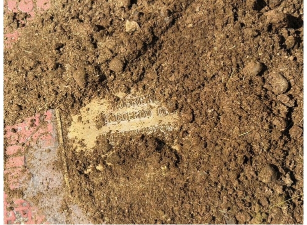 Screenshot_2026-02-12-15-43-55-367_com.android.chrome-edit