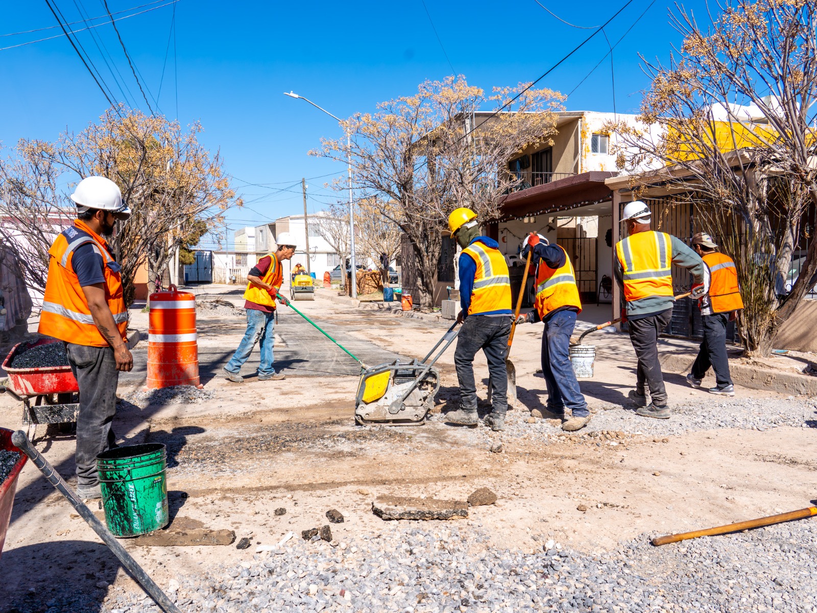 WhatsApp Image 2026-02-05 at 11.20.22 AM