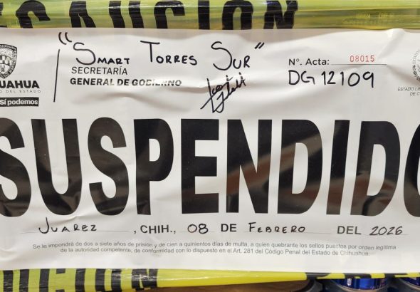 WhatsApp Image 2026-02-08 at 11.31.02 AM