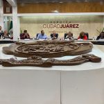 WhatsApp Image 2026-02-09 at 3.14.31 PM (2)