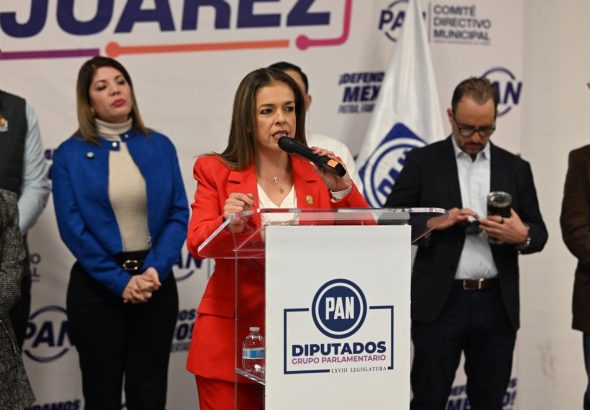 WhatsApp Image 2026-02-10 at 2.13.31 PM