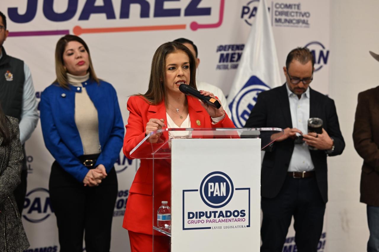 WhatsApp Image 2026-02-10 at 2.13.31 PM