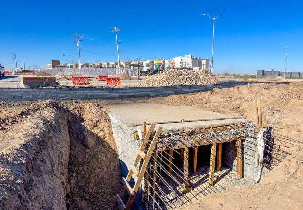 WhatsApp Image 2026-02-11 at 2.45.38 PM