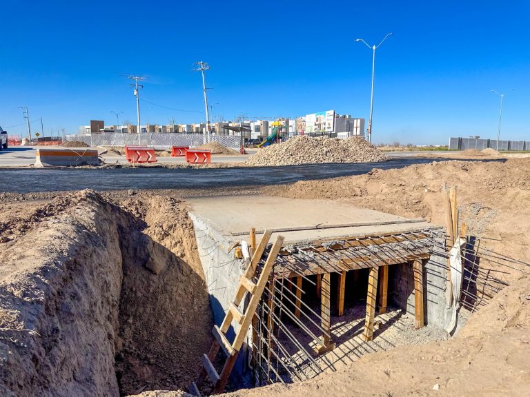 WhatsApp Image 2026-02-11 at 2.45.38 PM