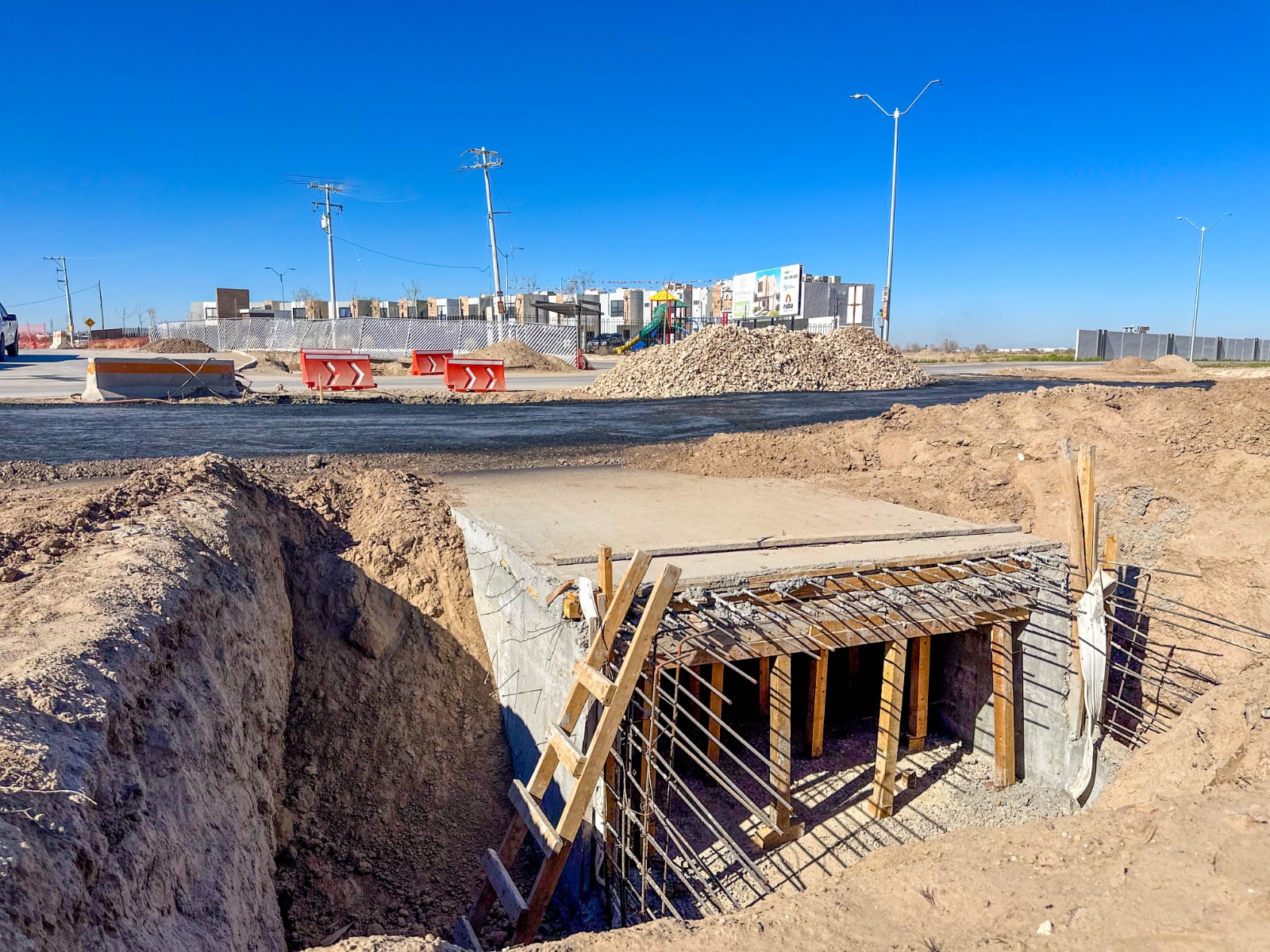 WhatsApp Image 2026-02-11 at 2.45.38 PM