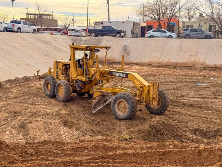 WhatsApp Image 2026-02-12 at 12.59.06 PM