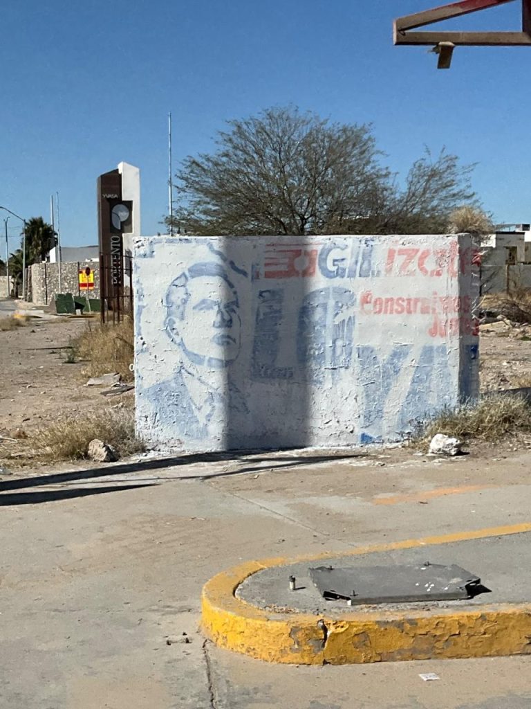 WhatsApp Image 2026-02-13 at 1.18.57 PM (2)