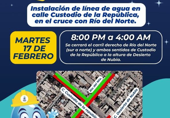 WhatsApp Image 2026-02-15 at 11.20.20 AM