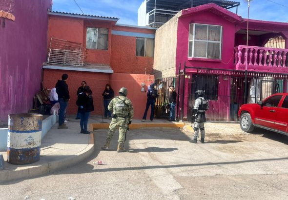 WhatsApp Image 2026-02-16 at 8.21.18 PM