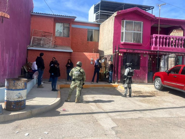 WhatsApp Image 2026-02-16 at 8.21.18 PM