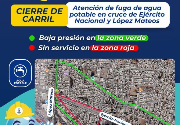 WhatsApp Image 2026-02-17 at 7.32.48 PM