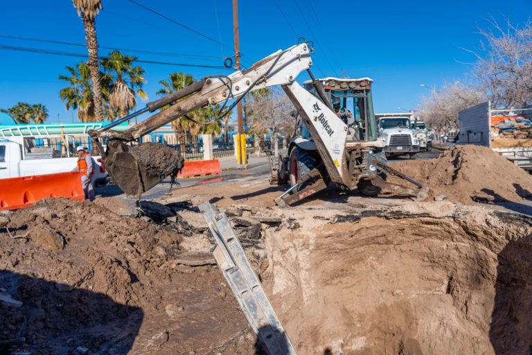 WhatsApp Image 2026-02-19 at 1.44.28 PM