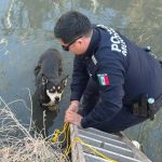 WhatsApp Image 2026-02-20 at 10.16.16 AM (1)