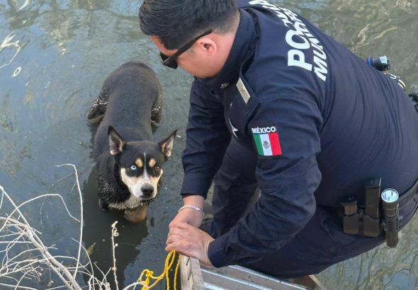 WhatsApp Image 2026-02-20 at 10.16.16 AM (1)