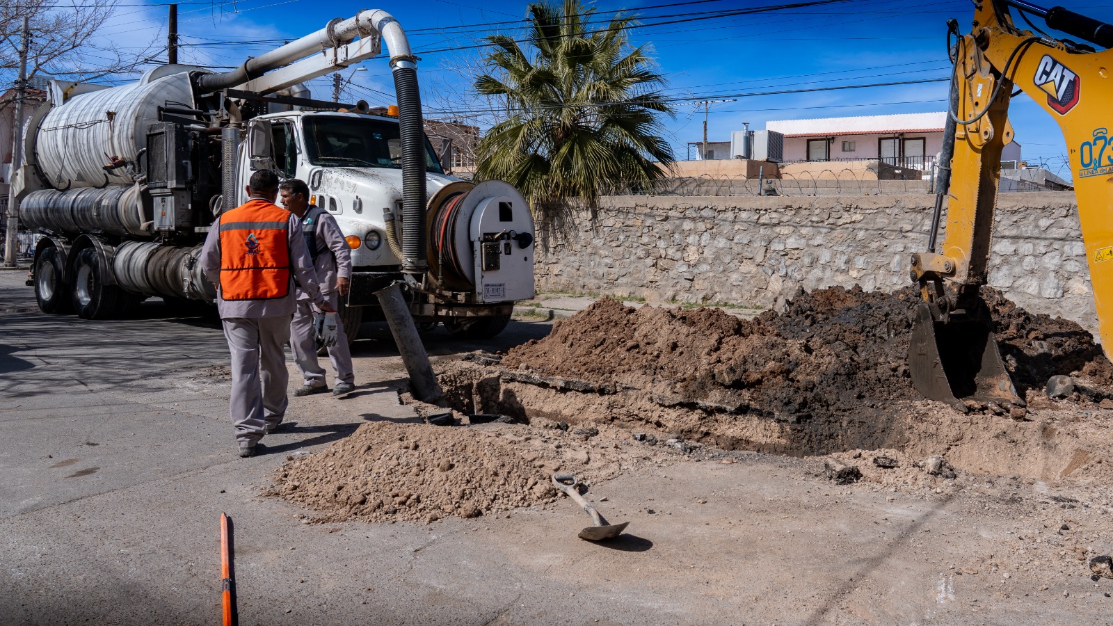 WhatsApp Image 2026-02-24 at 5.17.35 PM (1)