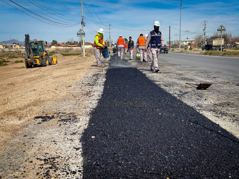 WhatsApp Image 2026-02-25 at 3.46.45 PM