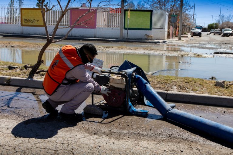 WhatsApp Image 2026-02-26 at 4.44.21 PM (1)