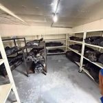 images - 2026-02-13T205316.363