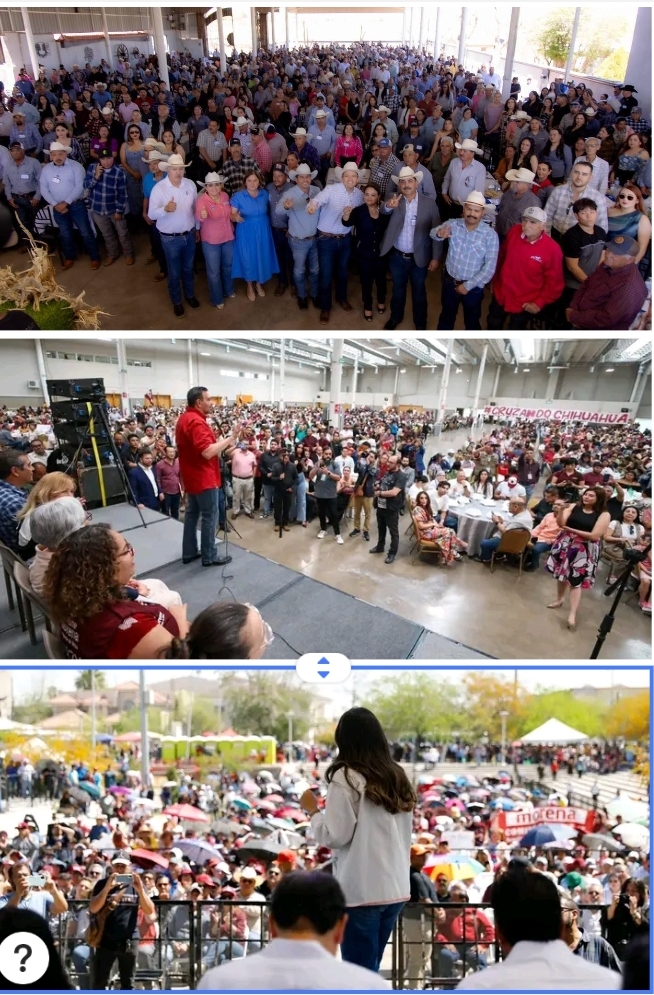 Screenshot_2026-03-23-01-22-17-621_photoeditor.layout.collagemaker-edit