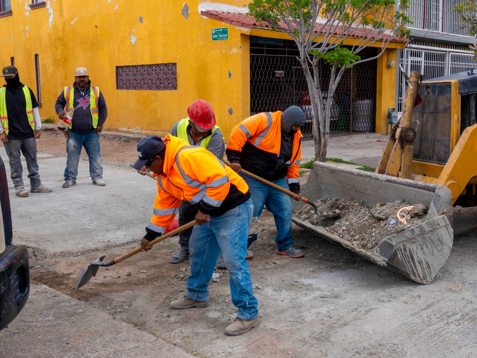 WhatsApp Image 2026-03-10 at 12.55.05 PM (1)