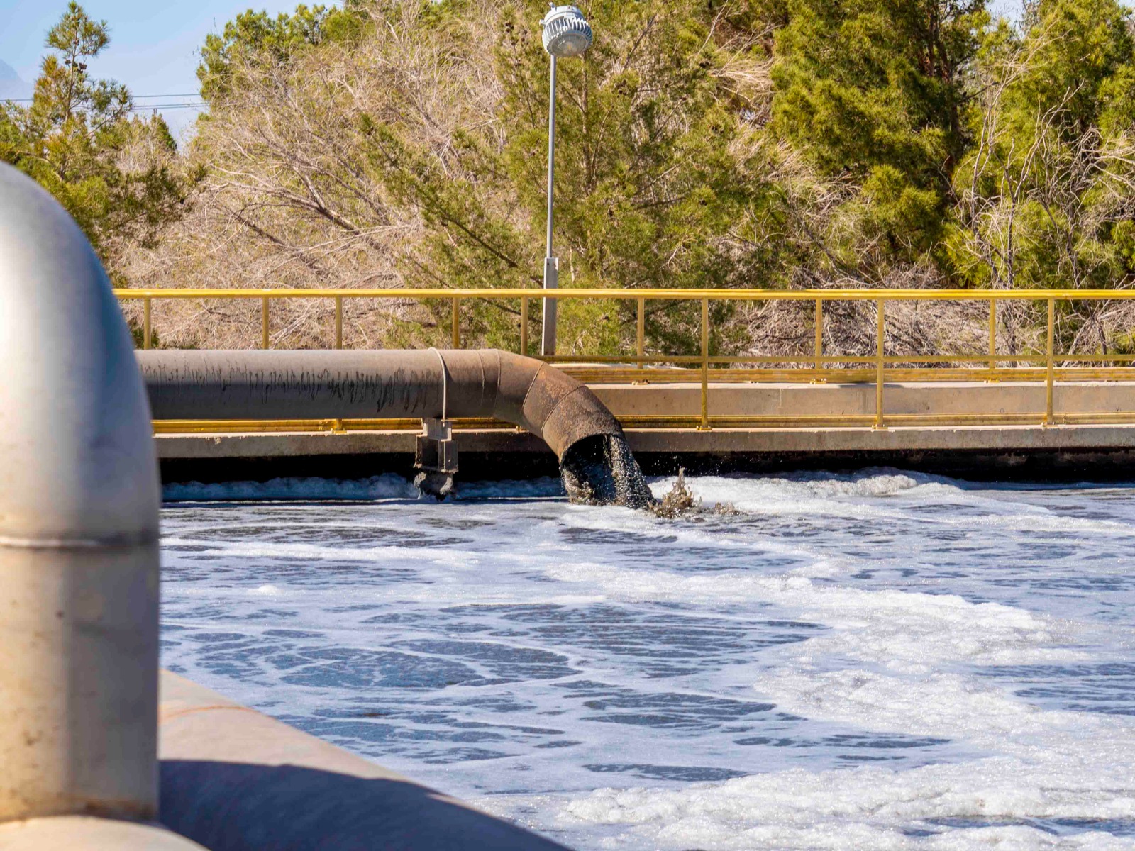 WhatsApp Image 2026-03-12 at 6.44.34 PM (1)