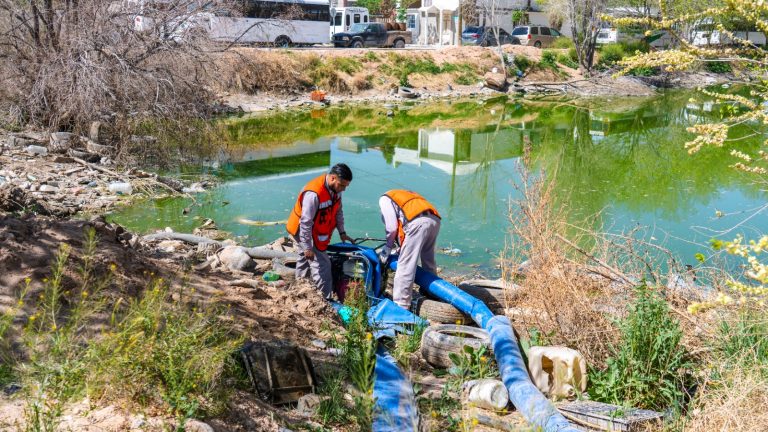 WhatsApp Image 2026-03-18 at 9.14.17 AM (1)