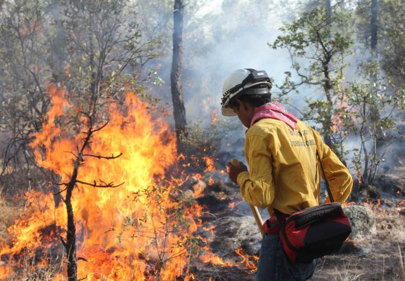 WhatsApp Image 2026-03-23 at 3.36.33 PM