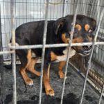 WhatsApp Image 2026-03-28 at 2.58.06 PM