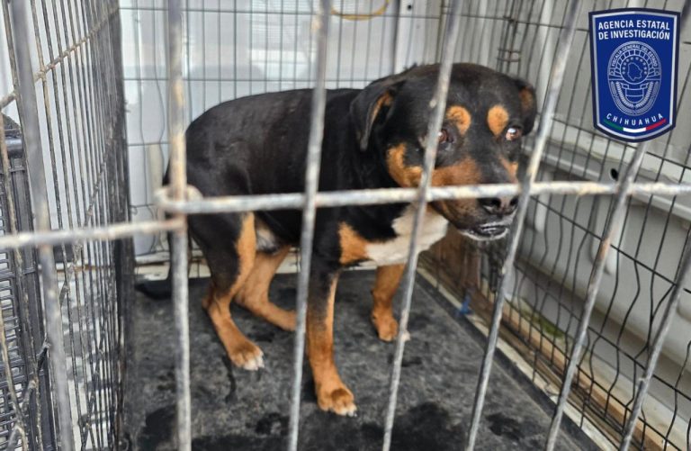 WhatsApp Image 2026-03-28 at 2.58.06 PM